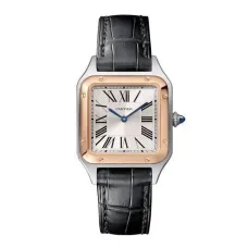 Часы Cartier Santos Dumont Small WSSA0023 060506