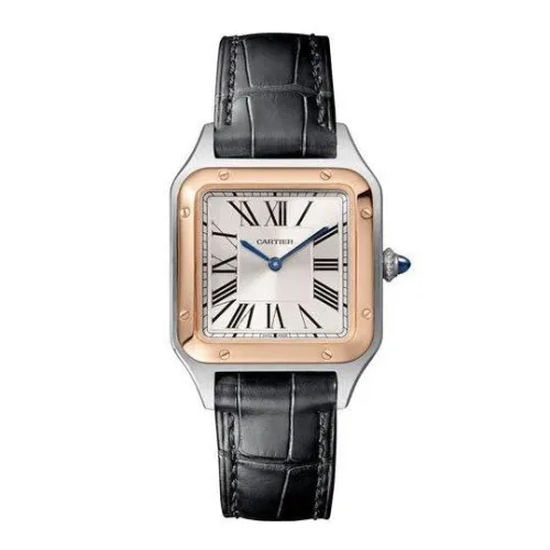 Часы Cartier Santos Dumont Small WSSA0023 060506