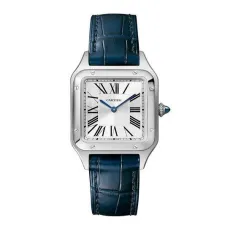 Часы Cartier Santos Dumont Small WSSA0023 060507