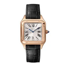Часы Cartier Santos Dumont Small WSSA0023 060509