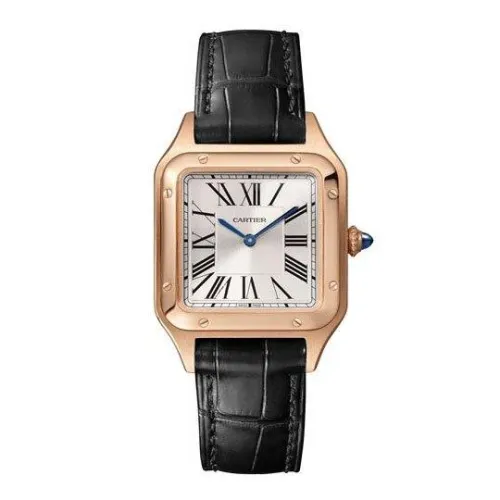 Часы Cartier Santos Dumont Small WSSA0023 060509