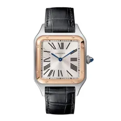 Часы Cartier Santos Dumont Large WSSA0022 060510