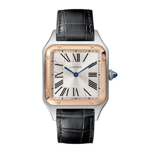 Часы Cartier Santos Dumont Large WSSA0022 060510
