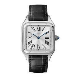 Часы Cartier Santos Dumont Large WSSA0022 060512