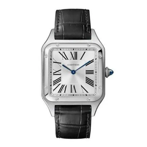 Часы Cartier Santos Dumont Large WSSA0022 060512