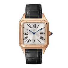 Часы Cartier Santos Dumont Large WGSA0021 060513
