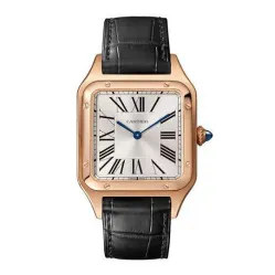 Часы Cartier Santos Dumont Large WGSA0021 060513