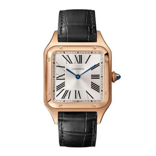 Часы Cartier Santos Dumont Large WGSA0021 060513