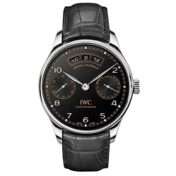 Часы IWC Portugieser Annual Calendar Edition Pisa IW503507 050915
