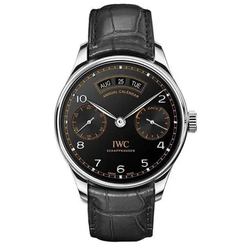 Часы IWC Portugieser Annual Calendar Edition Pisa IW503507 050915