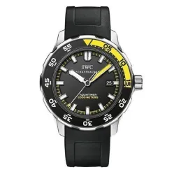 Часы IWC Aquatimer Automatic 2000 IW356802 050107