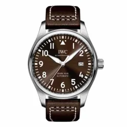Часы IWC Mark XVIII Edition Antoine de Saint Exupery IW327003 050604