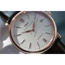 Часы IWC Portofino Automatic IW356504 050804