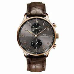 Часы IWC Portuguese Chronograph IW371482 051005