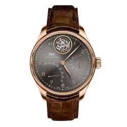 Часы IWC Portugieser Tourbillon Mystere Retrograde IW504401 051105