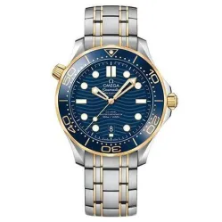 Часы Omega Seamaster 300M Co-Axial Master Chronometer 210.20.42.20.03.001 290103