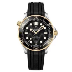 Часы Omega Seamaster 300M Co-Axial Master Chronometer 210.22.42.20.01.001 290105
