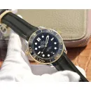 Часы Omega Seamaster 300M Co-Axial Master Chronometer 210.22.42.20.01.001 290105