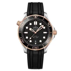 Часы Omega Seamaster 300M Co-Axial Master Chronometer 210.22.42.20.01.001 290106