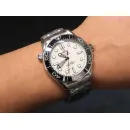 Часы Omega Seamaster 300M Co-Axial Master Chronometer 210.30.42.20.04.001 290111