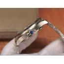 Часы Omega Seamaster 300M Co-Axial Master Chronometer 210.30.42.20.04.001 290111