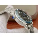 Часы Omega Seamaster 300M Co-Axial Master Chronometer 210.30.42.20.06.001 290112