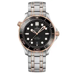 Часы Omega Seamaster 300M Co-Axial Master Chronometer 210.20.42.20.01.002 290101