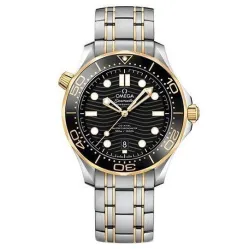 Часы Omega Seamaster 300M Co-Axial Master Chronometer 210.20.42.20.01.002 290102