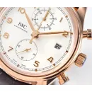 Часы IWC Portuguese Chronograph Classic IW390301 051006