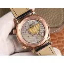 Часы Patek Philippe Celestial Sky Moon 040507