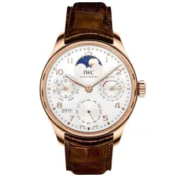 Часы IWC Portugieser Perpetual Calendar IW503302 051010
