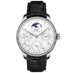Часы IWC Portugieser Perpetual Calendar IW503301 051011