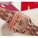 Часы Cartier Panthere de Cartier WGPN0009 060407