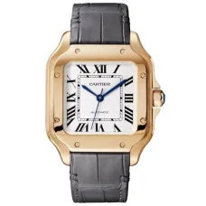 Часы Cartier Santos de Cartier WGSA0012 060514