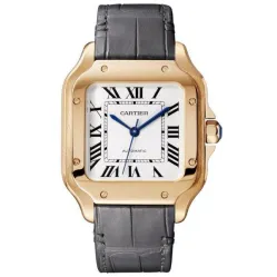 Часы Cartier Santos de Cartier WGSA0012 060514