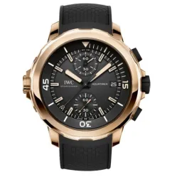 Часы IWC Aquatimer Chronograph Edition Expedition Charles Darwin IW379503 050207