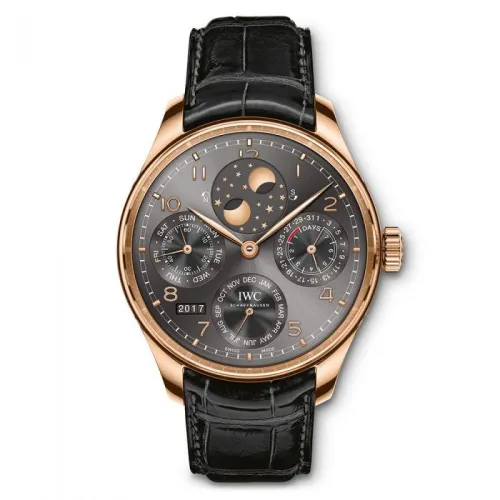 Часы IWC Portugieser Perpetual Calendar IW503404 051014
