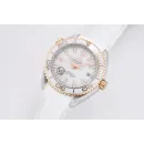 Часы Omega Planet Ocean Seamaster 600 m Co-Axial Master Chronometer 39,5 mm 215.23.40.20.04.001 290413