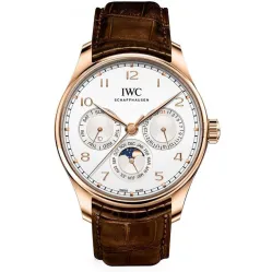 Часы IWC Portugieser Perpetual Calendar 42 IW344202 051024