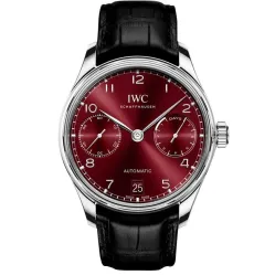 Часы IWC Portugieser Automatic IW500714 051029