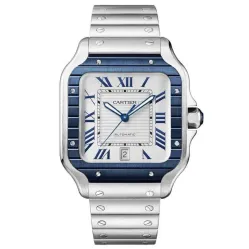 Часы Cartier Santos CRWSSA0048 060524