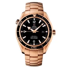 Часы Omega Planet Ocean 600M 222.60.42.20.01.001 290428