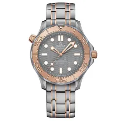 Часы Omega Seamaster Diver 300 210.60.42.20.99.001 290134